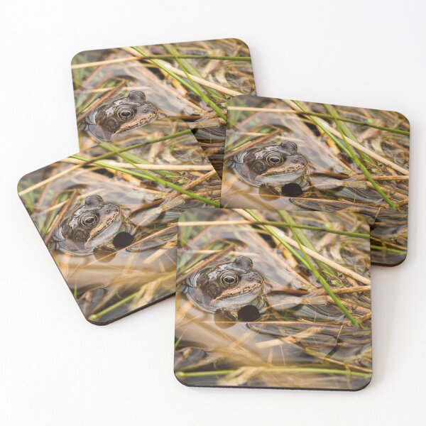 Item preview, Frog in a Pond designed and sold by Jane Stanley Photography.