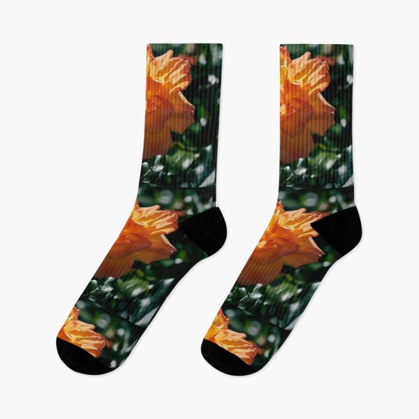 Item preview, Orange rose like setting sun designed and sold by Jouko Lehto Photography.