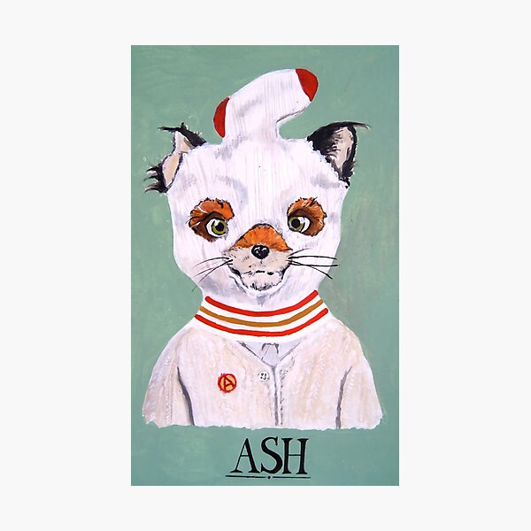 ASH Photographic Print