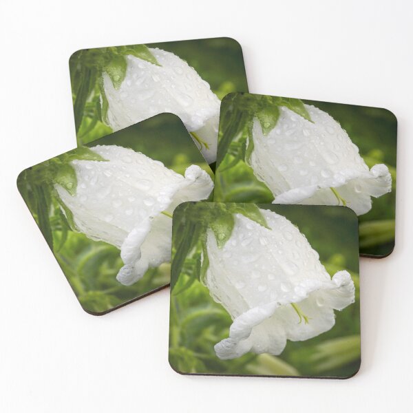 Item preview, White bellflower designed and sold by M-project.
