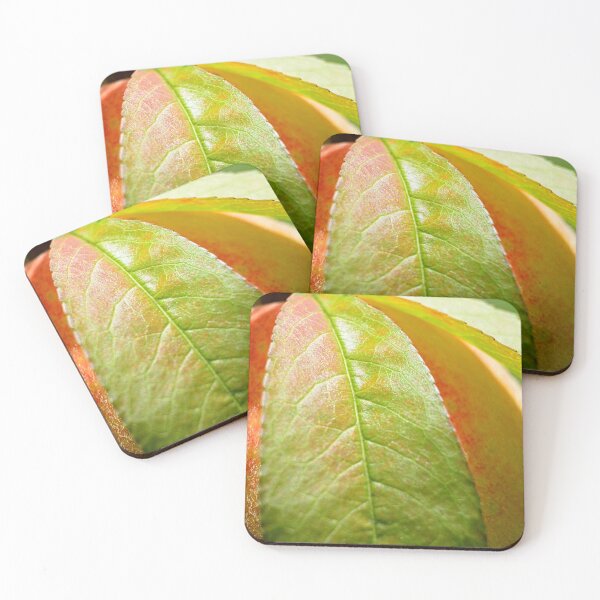 Item preview, Peach designed and sold by LisaWootenPhoto.