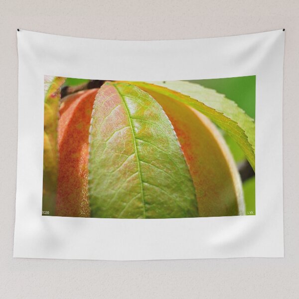 Item preview, Peach designed and sold by LisaWootenPhoto.
