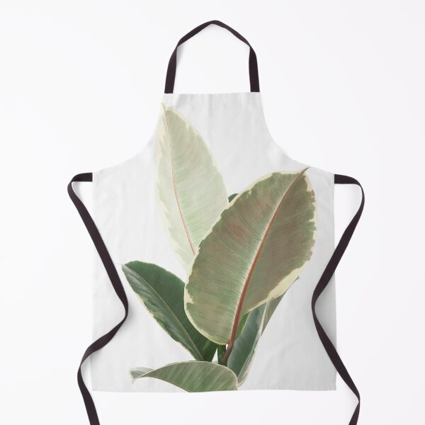 Item preview, Ficus Tineke designed and sold by Cassia Beck.