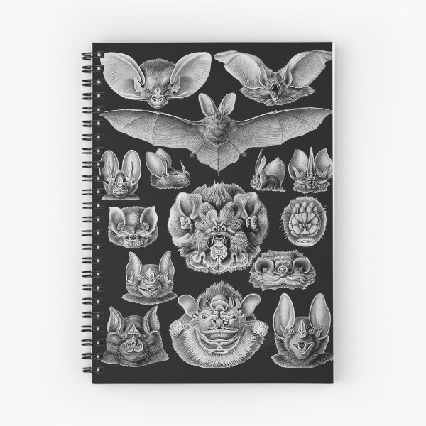 Item preview, Bat Heads Bat Faces Cool Bat Haeckel Illustration Vampire Bat Halloween Bat Gift designed and sold by madeulaugh.