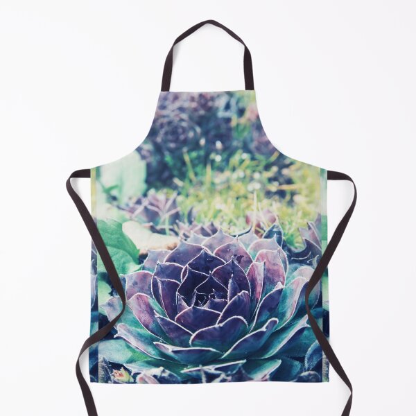 Item preview, Close-up of beautiful and colorful sempervivum succulent houseleek plant in spring designed and sold by Grégory DUBUS.