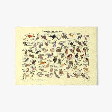 Item preview, Kangaroos and Wallabies designed and sold by Green Humour.