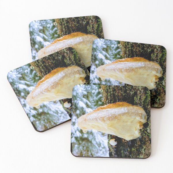 Item preview, Frozen Mushroom designed and sold by cover-it-in-ART.