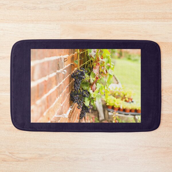 Item preview, Grape Vine in Walled Garden designed and sold by Jane Stanley Photography.