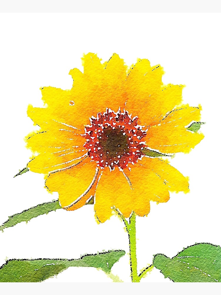 Sunflower in Watercolor by douglasewelch