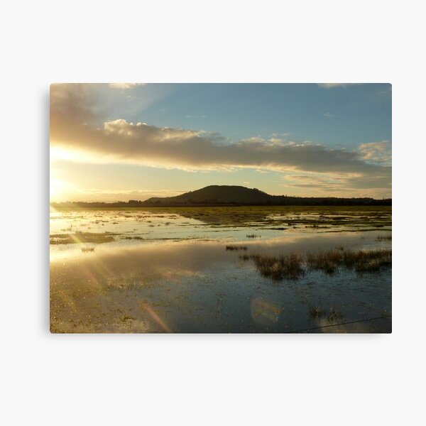 Flooding in Somerset Canvas Print