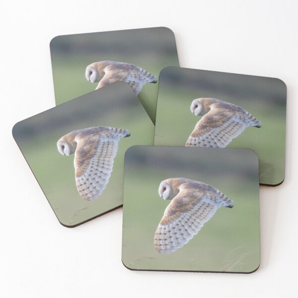 Item preview, stunning barn owl designed and sold by tammy mellor.