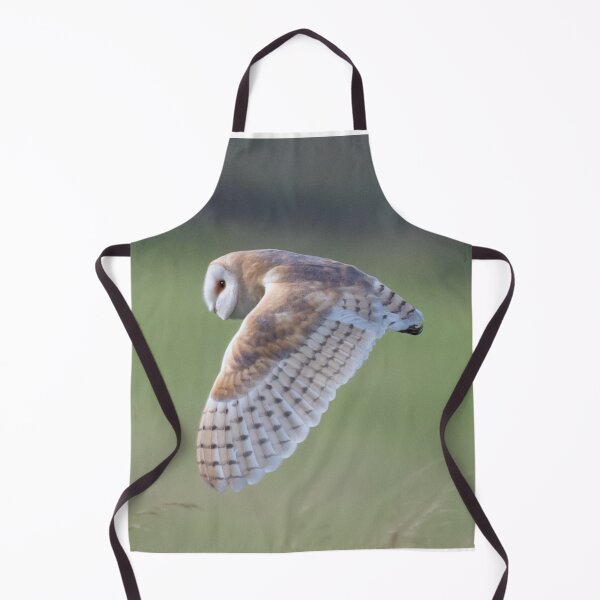 Item preview, stunning barn owl designed and sold by tammy mellor.