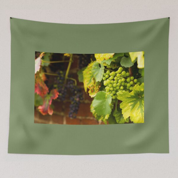 Item preview, Bunch of Green Grapes designed and sold by Jane Stanley Photography.