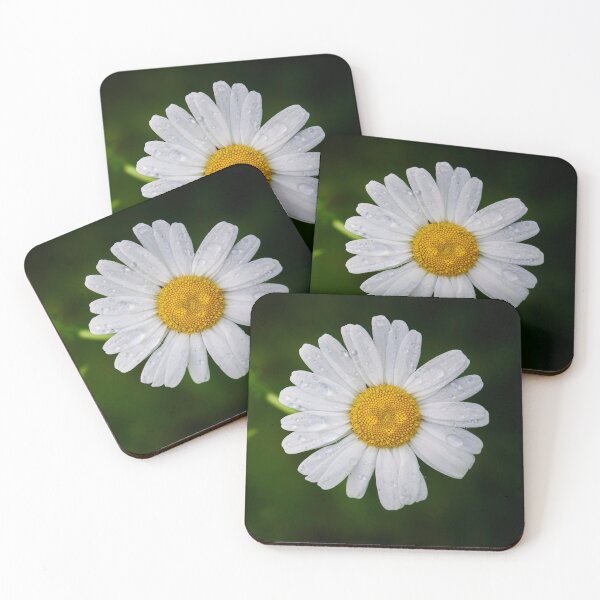 Item preview,  White camomile designed and sold by M-project.