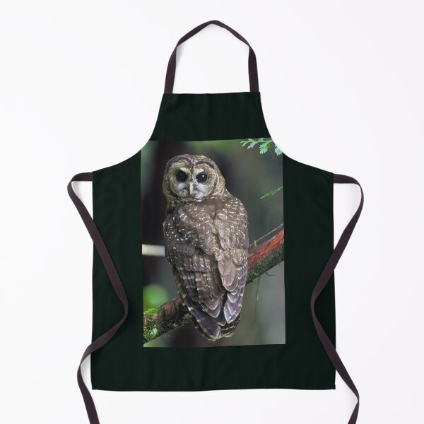 Item preview, Northern Spotted Owl designed and sold by Amanda1775.