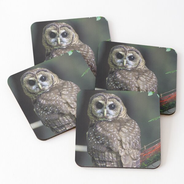 Item preview, Northern Spotted Owl designed and sold by Amanda1775.