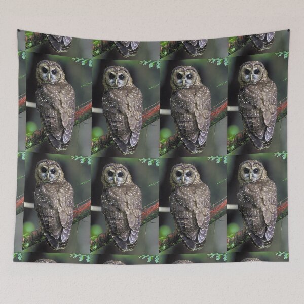 Item preview, Northern Spotted Owl designed and sold by Amanda1775.