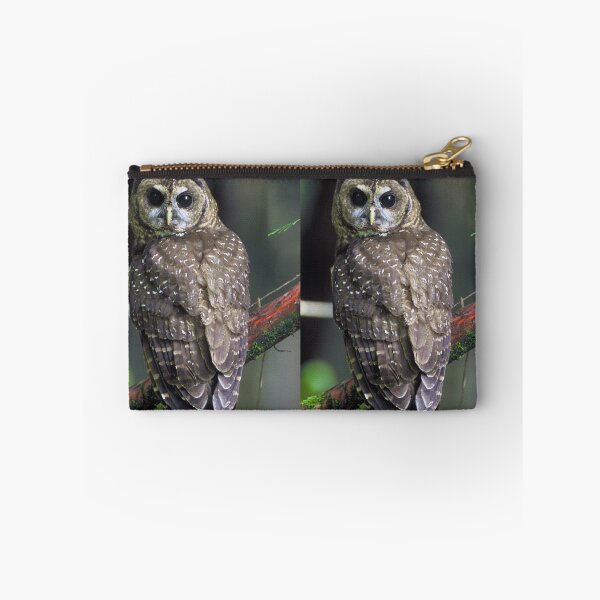 Item preview, Northern Spotted Owl designed and sold by Amanda1775.