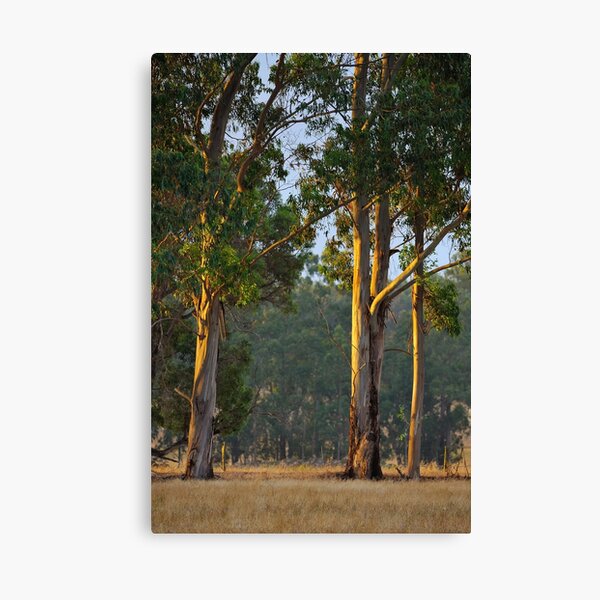 Guards of Evening Canvas Print