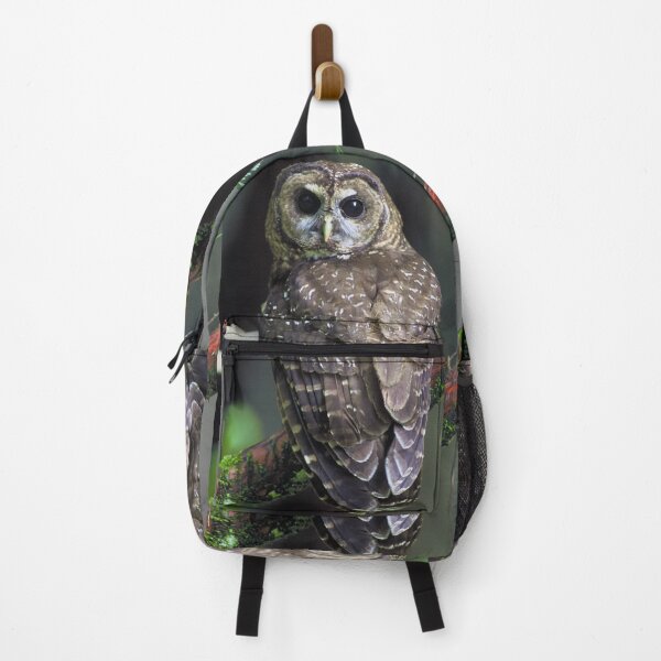 Item preview, Northern Spotted Owl designed and sold by Amanda1775.