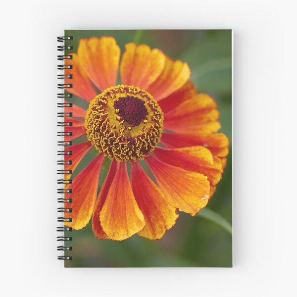 Item preview, Gerbera naranja designed and sold by M-project.