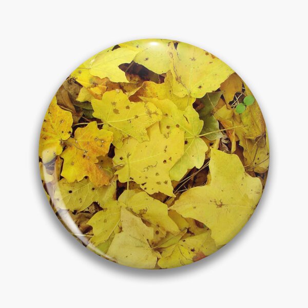 Artikelvorschau, Maple Leaves entworfen und verkauft von J Rier Photography.
