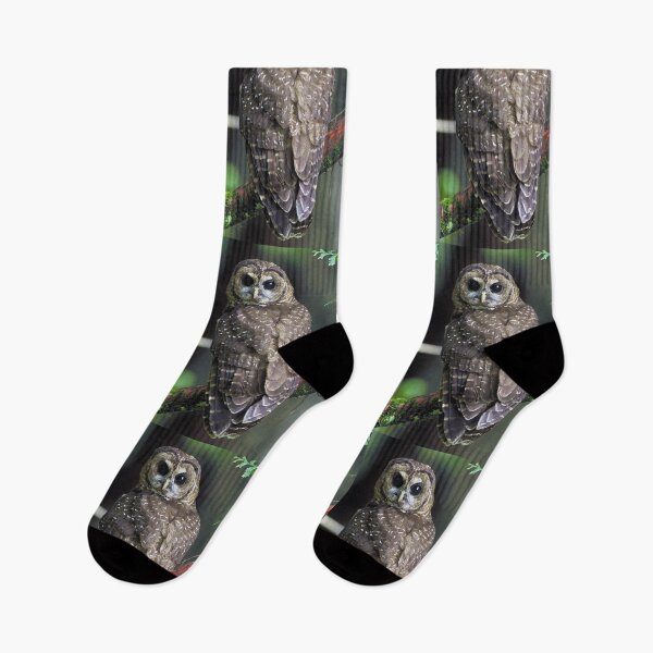 Item preview, Northern Spotted Owl designed and sold by Amanda1775.