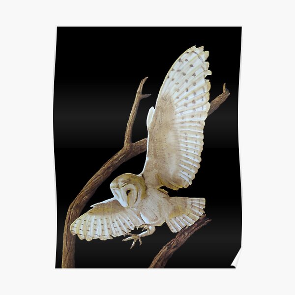 Owl in Flight woodburning by Minisa Robinson Poster