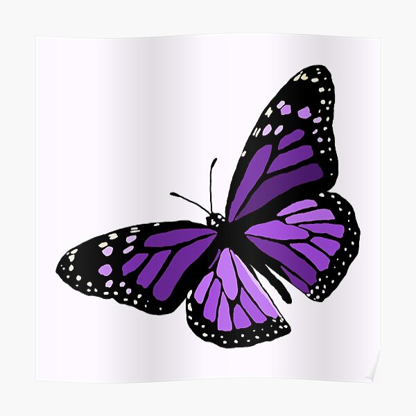 Purple Butterfly Poster For Sale By Designsbysoph Redbubble