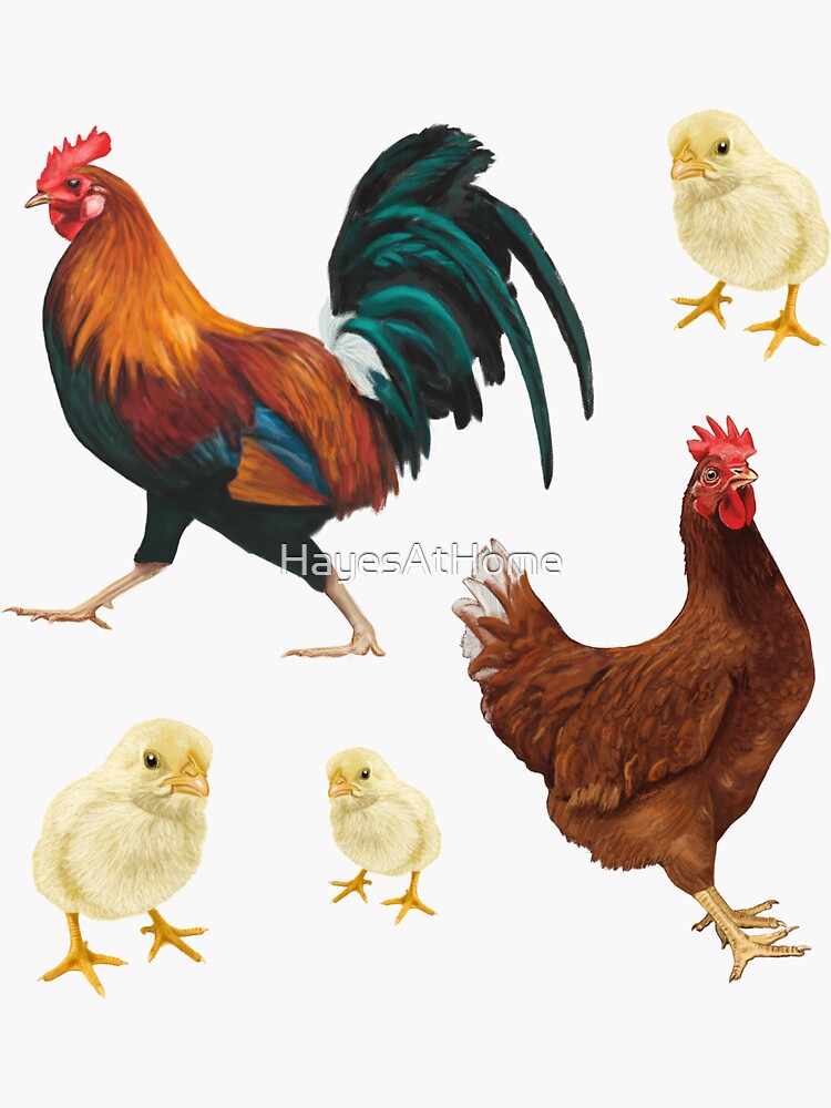 Gallos Finos Merch & Gifts for Sale | Redbubble Gallos Finos Merch & Gifts for Sale | Redbubble