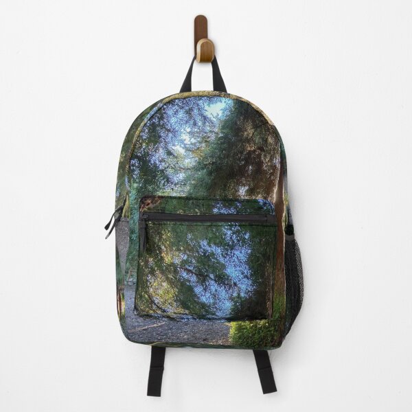 Item preview, Southernmost Redwood Grove in California designed and sold by Trevor and Photos.