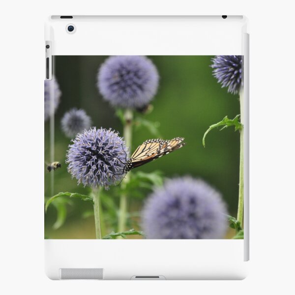 Monarch & the Bee iPad Snap Case