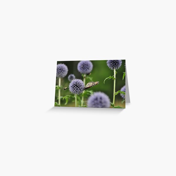 Monarch & the Bee Greeting Card