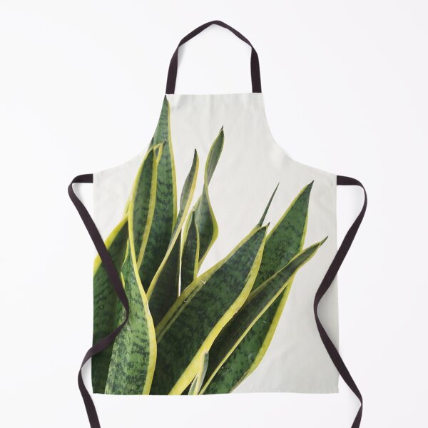Item preview, Sansevieria designed and sold by Cassia Beck.