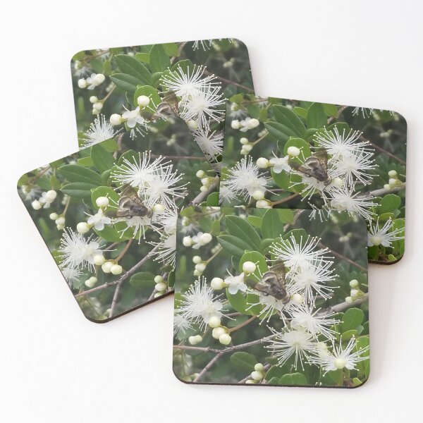 Item preview, Dreams of insects  designed and sold by Outdoor-wonders.