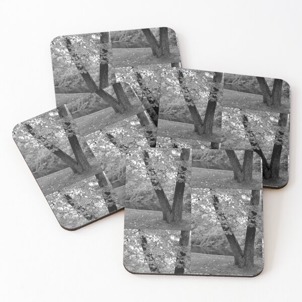 Item preview, Tree and river designed and sold by J Rier Photography.