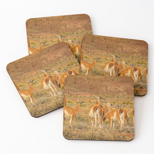 Item preview, Group of Guanacos at Patagonia Landscape, Santa Cruz, Argentina designed and sold by DFLC Prints.