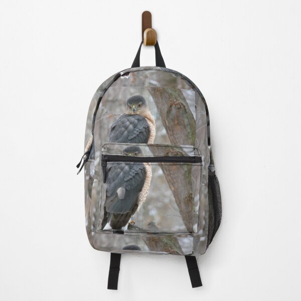 Item preview, Cooper's hawk designed and sold by J Rier Photography.