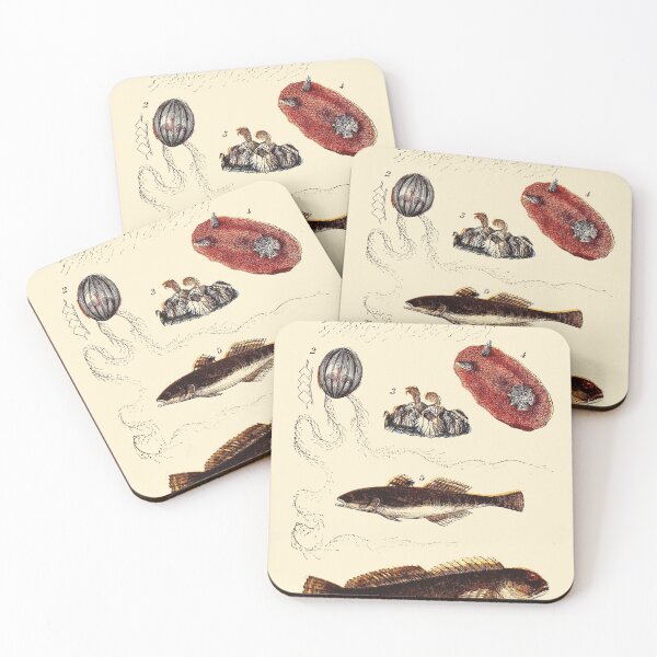 Item preview, Vintage sea life illustration - Medusa - jelly-fish - barnacle - sea-slug - goby and shanny designed and sold by Gardenlibrary.