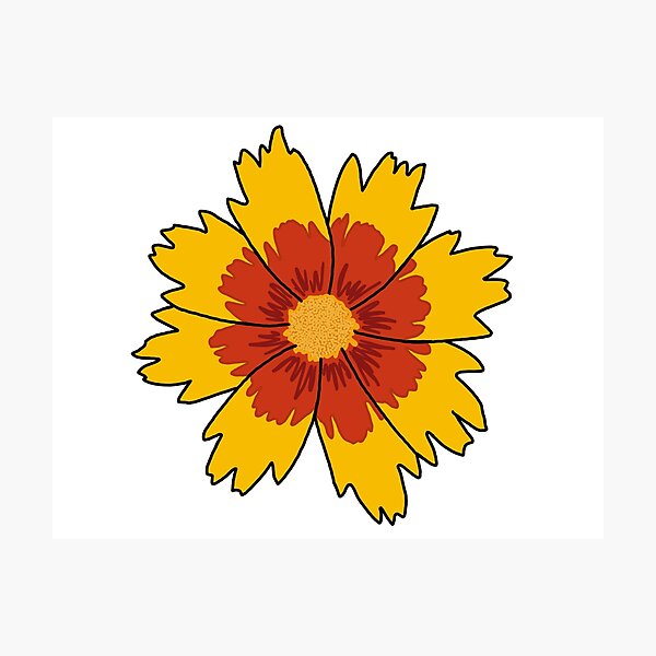 Yellow and Red Flower Photographic Print