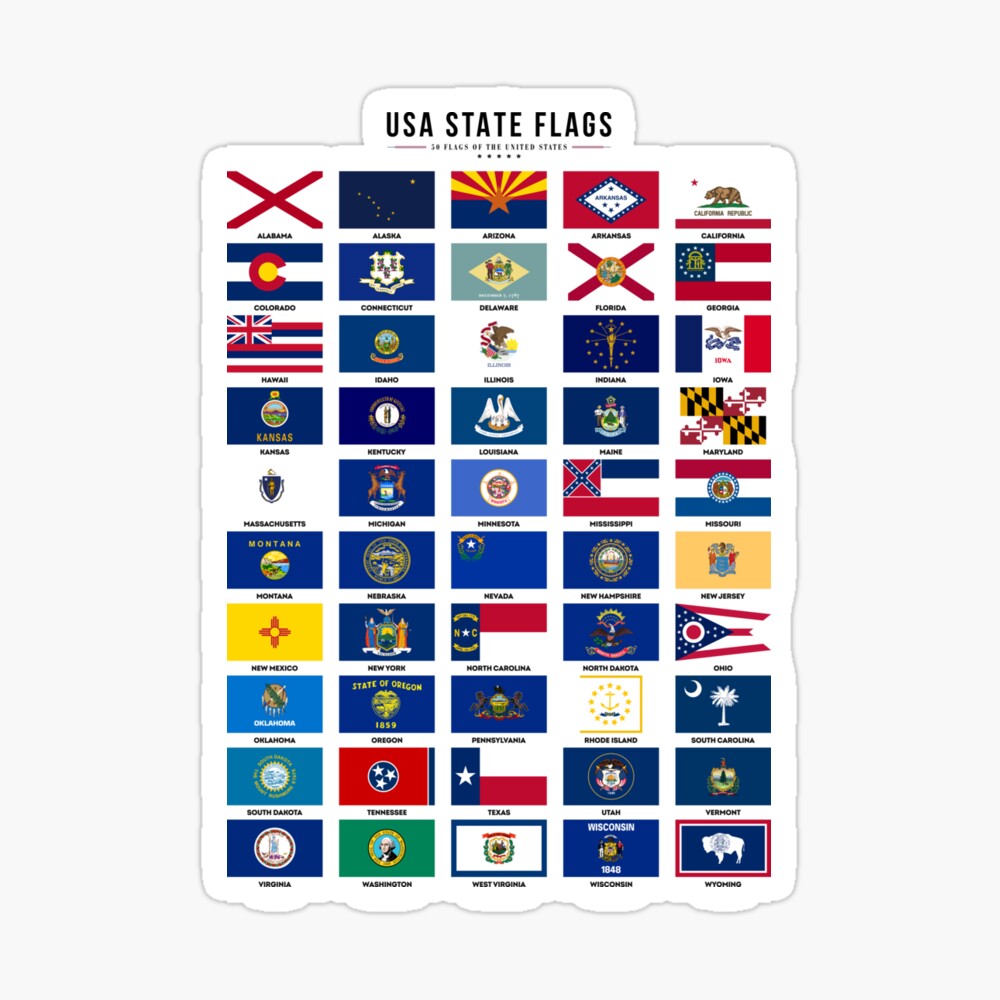 New 25x38 Hammond Our Fifty States Flags & Facts Wall Poster 