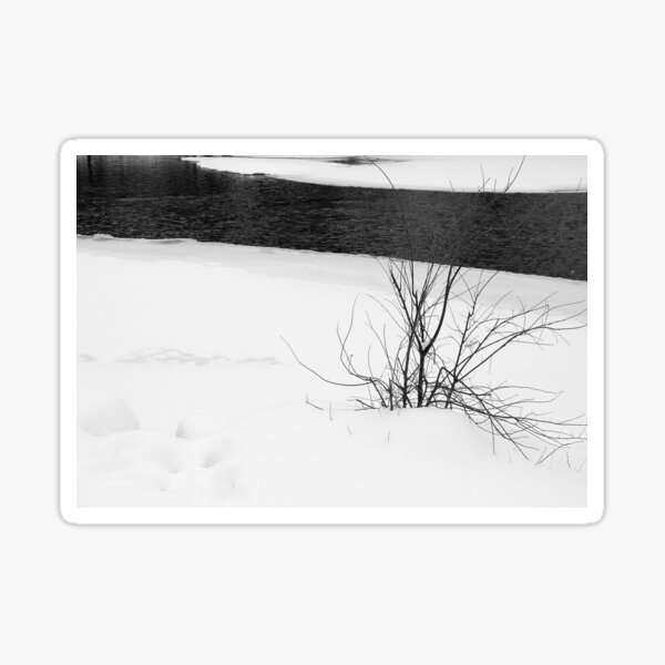 Item preview, Desolate designed and sold by J Rier Photography.