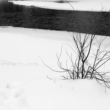 Artwork thumbnail, Desolate by J Rier Photography