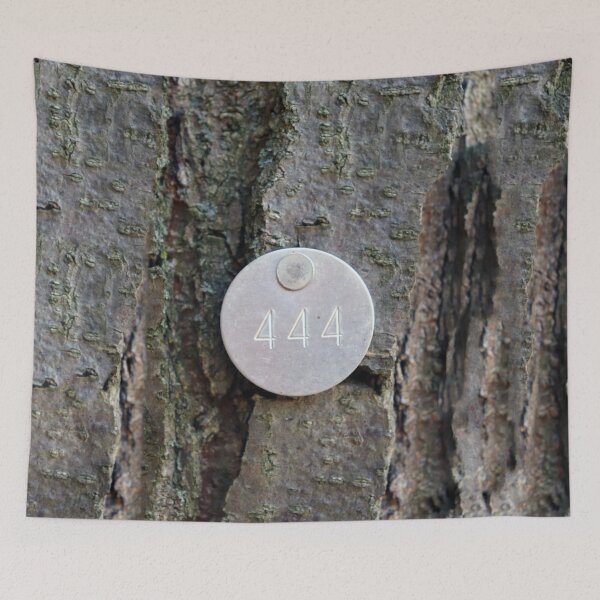 Item preview, 444 angel numbers nature photography designed and sold by mariahmoniquedesign.