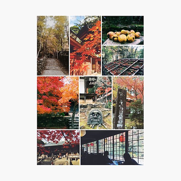 Kyoto Japan Takao Jingo-ji & Kozan-ji Autumn Collage Photographic Print