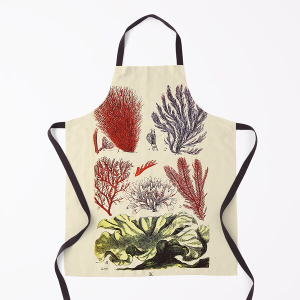 Item preview, Vintage sea life illustration - Setacea - polysiphonia - plocamium - rhodymenia - ptilota and green laver designed and sold by Gardenlibrary.