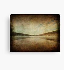 Ironic Loneliness Canvas Print