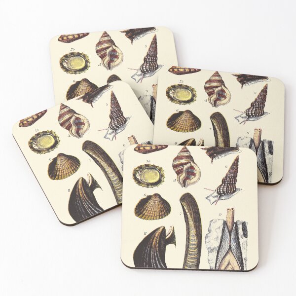 Item preview, Vintage sea life illustration - Pearly top - periwinkle - patella - ditto - scalaria - cokle - razor-shell - mussel and pholas designed and sold by Gardenlibrary.