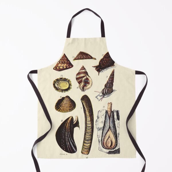 Item preview, Vintage sea life illustration - Pearly top - periwinkle - patella - ditto - scalaria - cokle - razor-shell - mussel and pholas designed and sold by Gardenlibrary.
