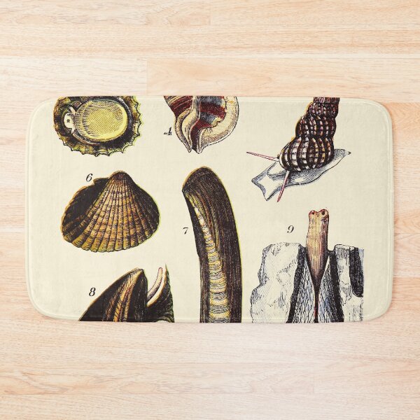 Item preview, Vintage sea life illustration - Pearly top - periwinkle - patella - ditto - scalaria - cokle - razor-shell - mussel and pholas designed and sold by Gardenlibrary.
